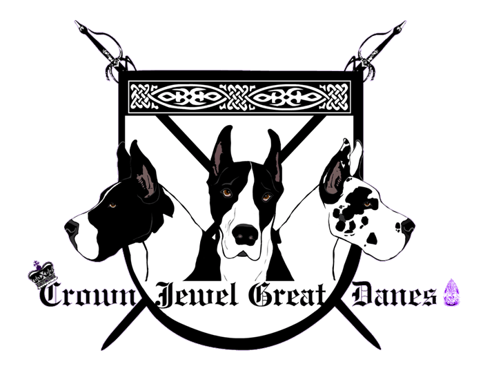 Enter Crown Jewel Great Danes