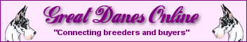 Great Danes Online